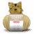 Fred the dog