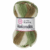 912 Leaf Litter/Hojarasca