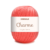 4004 Coral