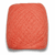 020 Salmon/Salmon