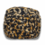 Leopard/Leopardo